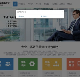 天津IT外包服务专家