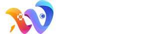 安徽玩美信息科技有限公司