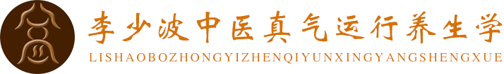 李少波真气运行法官方网